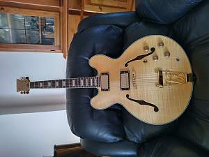 Click image for larger version. 

Name:	SemiHollow.jpg 
Views:	166 
Size:	176.4 KB 
ID:	43020