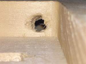 Click image for larger version. 

Name:	xRWF1Trl.jpg 
Views:	146 
Size:	37.3 KB 
ID:	4305