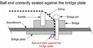 Click image for larger version. 

Name:	Bridge Pins.jpg 
Views:	1063 
Size:	15.6 KB 
ID:	43284