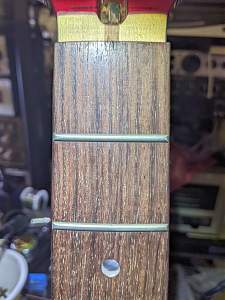 Click image for larger version. 

Name:	PRS SE C24 Fretboard_resized.jpg 
Views:	154 
Size:	239.0 KB 
ID:	43330