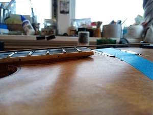Click image for larger version. 

Name:	neck.jpg 
Views:	154 
Size:	36.3 KB 
ID:	43443