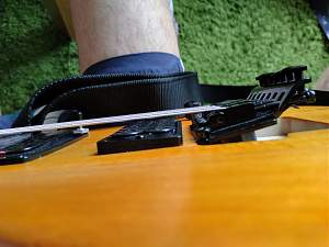 Click image for larger version. 

Name:	20220822 floyd rose.jpg 
Views:	421 
Size:	230.8 KB 
ID:	43455