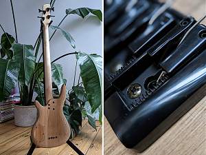 Click image for larger version. 

Name:	Bass_Quer35.JPG 
Views:	410 
Size:	365.3 KB 
ID:	43974