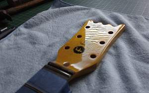 Click image for larger version. 

Name:	farset_build_neck_1.jpg 
Views:	175 
Size:	132.9 KB 
ID:	44103