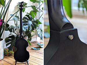 Click image for larger version. 

Name:	VioBass_16.JPG 
Views:	662 
Size:	522.1 KB 
ID:	45150