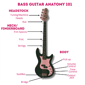 Click image for larger version. 

Name:	bass_parts.png 
Views:	2108 
Size:	247.7 KB 
ID:	45481