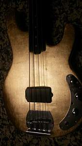 Click image for larger version. 

Name:	goldy front.jpg 
Views:	185 
Size:	66.0 KB 
ID:	5270