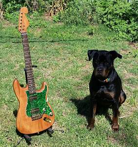 Click image for larger version. 

Name:	Elvis.jpg 
Views:	336 
Size:	498.3 KB 
ID:	6891