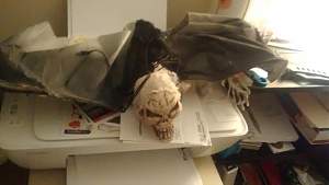 Click image for larger version. 

Name:	mini eddie.jpg 
Views:	161 
Size:	26.3 KB 
ID:	7344