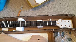 Click image for larger version. 

Name:	003 Neck (Custom).jpg 
Views:	640 
Size:	395.0 KB 
ID:	8179