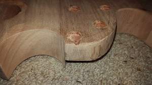 Click image for larger version. 

Name:	014 New neck chip (Custom).jpg 
Views:	620 
Size:	294.9 KB 
ID:	8206