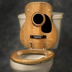 Click image for larger version. 

Name:	guitoilet.jpg 
Views:	477 
Size:	44.9 KB 
ID:	8285