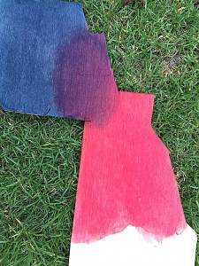 Click image for larger version. 

Name:	MarinePly-dyed_S.jpg 
Views:	346 
Size:	190.9 KB 
ID:	8366