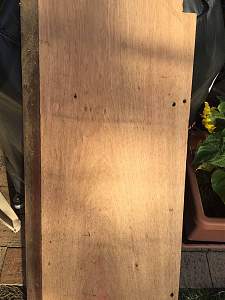 Click image for larger version. 

Name:	Hardwood-raw_S.jpg 
Views:	357 
Size:	188.5 KB 
ID:	8368