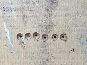 Click image for larger version. 

Name:	IMG_6268.JPG 
Views:	347 
Size:	100.9 KB 
ID:	8414
