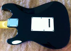 Click image for larger version. 

Name:	photo back of body.jpg 
Views:	356 
Size:	342.6 KB 
ID:	8421