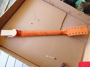 Click image for larger version. 

Name:	neck1.jpg 
Views:	180 
Size:	80.1 KB 
ID:	8476