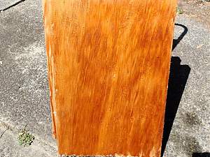 Click image for larger version. 

Name:	kauri.jpg 
Views:	204 
Size:	162.3 KB 
ID:	8607