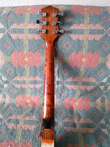 Click image for larger version. 

Name:	Neck1.jpg 
Views:	329 
Size:	722.5 KB 
ID:	8789