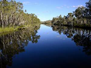 Click image for larger version. 

Name:	noosa4.jpg 
Views:	606 
Size:	115.7 KB 
ID:	9122