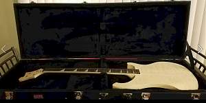 Click image for larger version.
Name: case.jpg
Views: 666
Size: 104.2 KB
ID: 18097