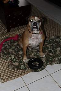 Click image for larger version. 
Name:	IMG_0661.JPG 
Views:	2330 
Size:	165.3 KB 
ID:	34972