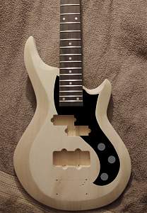 Click image for larger version. 
Name:	Pickguard_mock.jpg 
Views:	184 
Size:	421.5 KB 
ID:	37005